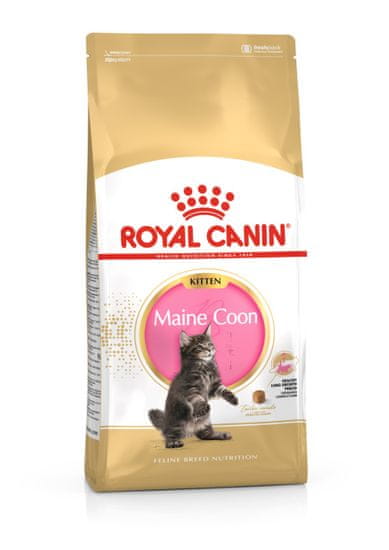 Royal Canin Maine Coon Kitten hrana za mačiće Main Coon, 10 kg