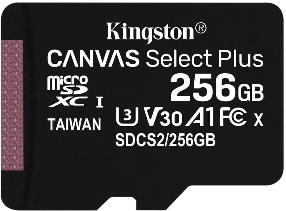Kingston canvas select plus nintendo switch discount