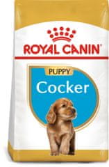 Royal Canin Cocker Puppy pseći briketi, 3 kg