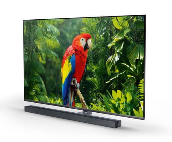 TCL 65X10 4K UHD QLED televizor Android TV