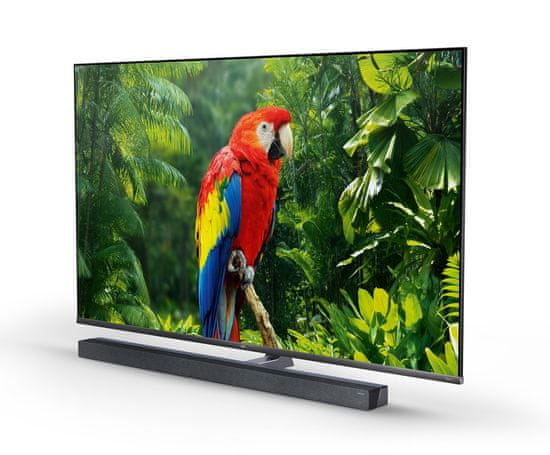 TCL 65X10 4K UHD QLED televizor Android TV