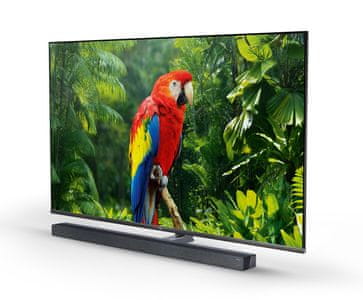 TCL 65X10 4K LED TV prijemnik