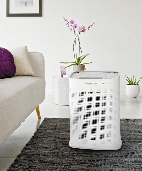 Rowenta pu3080 pure air genius deals