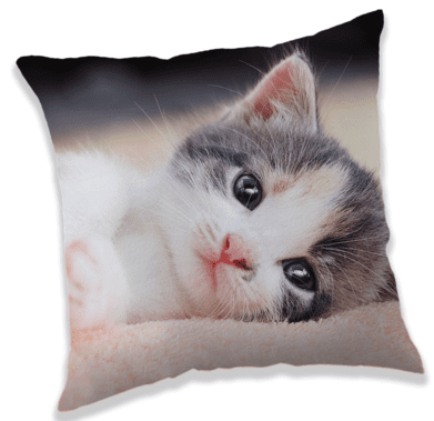 Jerry Fabrics Kitten jastuk
