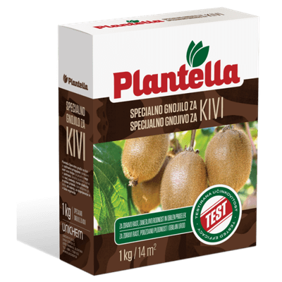 Plantella