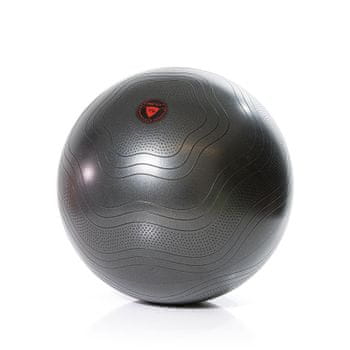  Gymstick lopta za vježbu, 65 cm, siva 
