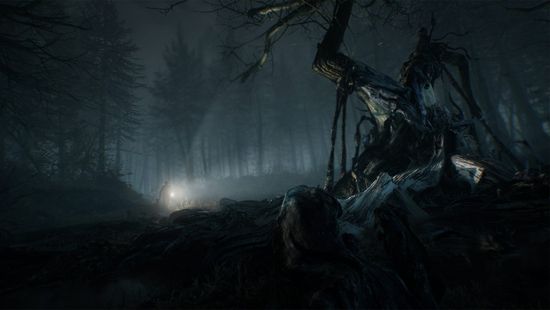 Blair witch clearance playstation 4