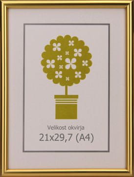 Karako Okvir za fotografiju 21x29,7 cm, plastika, zidni, 95 zlatni A4