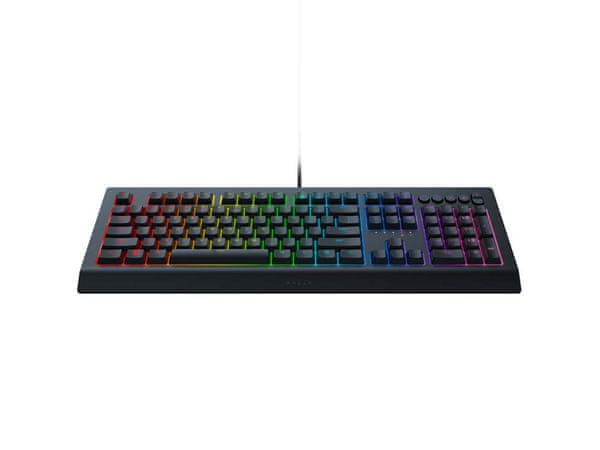 Razer Cynosa V2