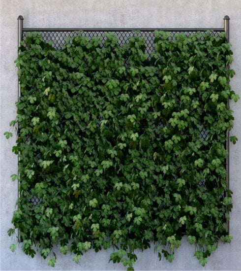 AG Design fototapeta Zelenilo na betonu, 180 x 202 cm