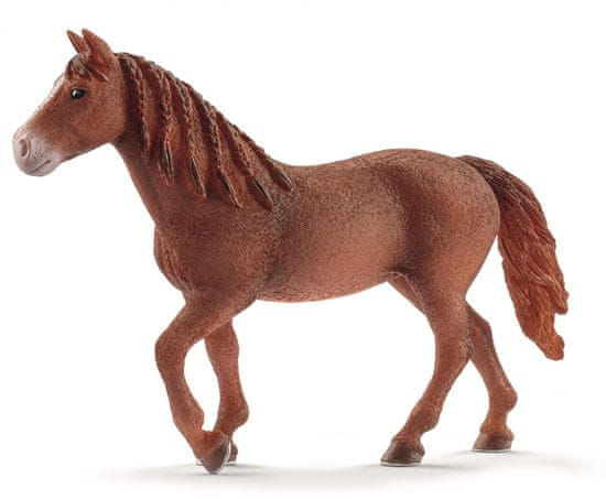 Schleich figura Kobila Morgan 13870