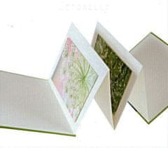 Goldbuch GENERACIJA Y Leporello foto album 10 fotografija 13x18