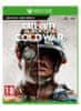 Activision Call of Duty: Black Ops Cold War (Xbox One)