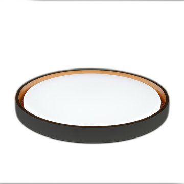 Hausline LED svjetlo, HL-B55-XL-36