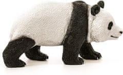 Schleich Panda veliki mužjak 14772