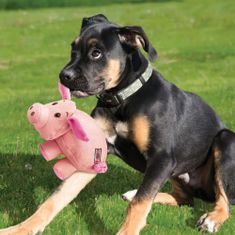 KONG Phatz Pig igračka za pse, ružičasta, S