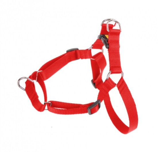 Dingo Easy Walk oprsnica
