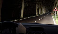 Bosch Plus 150 Gigalight H4 automobilska žarulja, 12 V, 60/55 W