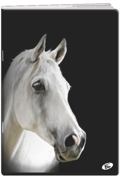 Elisa bilježnica Životinje, A4, linije, 80-listova, 10/1