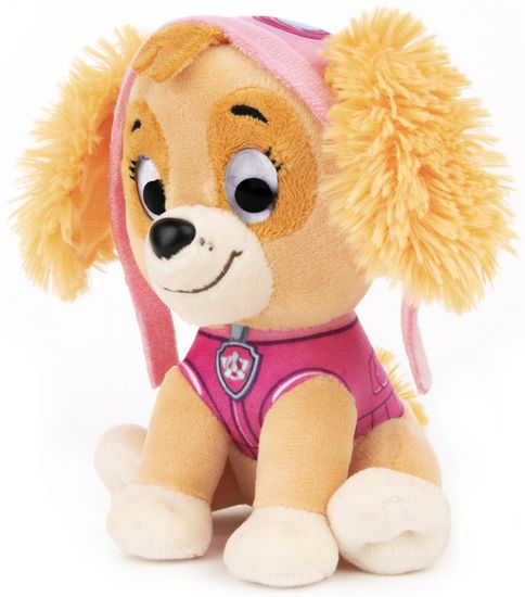 Paw deals patrol sky
