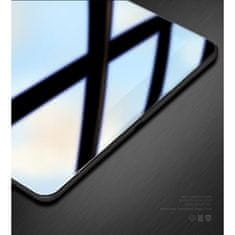 Dux Ducis Glass zaštitno staklo za iPad Pro 11"