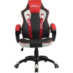 Bytezone Racer Pro gamerska stolica, crna, siva, crvena