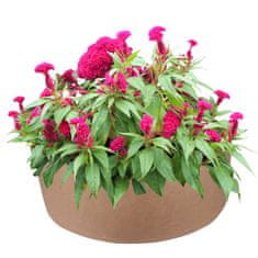 HomeOgarden PlantIN vreća za sadnju, 40 L, smeđa