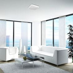 Rabalux 2225 Adon LED stropna svjetiljka