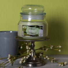 Colonial Candle Green Tea Macaron mirisna svijeća, 255 g
