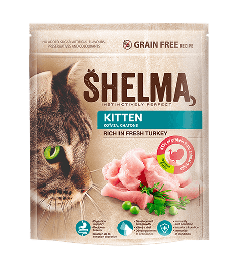 SHELMA Granule Freshmeat junior krůtí 2*750g