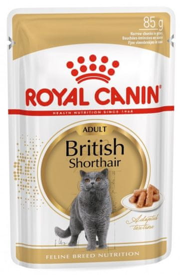Royal Canin vrećica za mačke British Shorthair 12x85 g