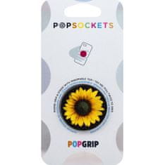 PopSockets PopGrip držač/stalak, Seed Money