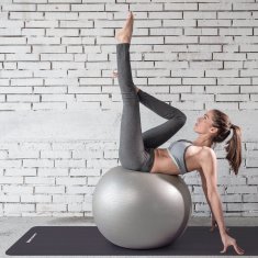 MG Gymnastic Ball fit gimnastička lopta 65cm, plava