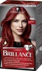 Schwarzkopf Brillance boja za kosu, 842 crveni kašmir