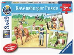 Ravensburger Škola jahanja, štale, pašnjak slagalica, 3 x 49 komada