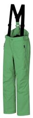 Hannah dječje skijaške hlače Akita Jr II 221-001-A4057, 116, zelene