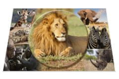 Herma podloga za stol, 55 x 35 cm, Afričke životinje
