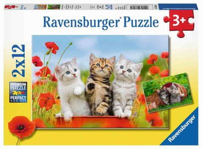 Clementoni puzzle Paw Patrol, Maxi, 24 komada (24211)