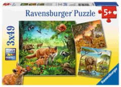 Ravensburger slagalica Životinje svijeta, 3x49