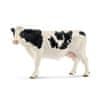 Holstein krava (13797)