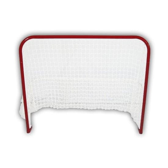 Spartan hokejaški gol