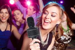 Teddies Mikrofon karaoke Bluetooth, na baterije,crn