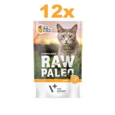 VetExpert Raw Paleo Sterilised mokra hrana za mačke, puretina, 12 x 100 g