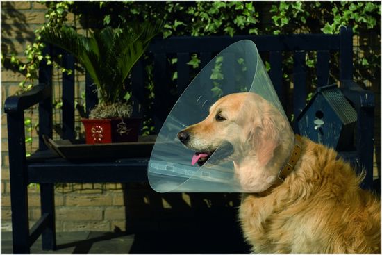 Beeztees zaštitna ogrlica za pse, 44-50 × 25 cm, prozirna