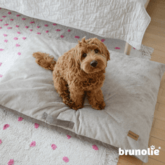 BRUNOLIE Brunolie Henry krevet za pse, ortopedski, periv, M, siva