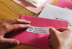 Dymo LW etikete 36 x 89 mm, 99012, pakiranje od 24/1 (S0722390)