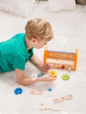 Teddies Set alata za drvo, 16 komada, sa drvenom kutijom