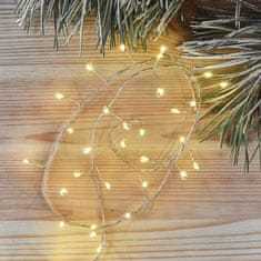 EMOS LED božićni nano lanac, jež, 2,4 m, 3x AA, unutarnji, toplo bijeli, timer