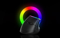 Delux Ergonomski vertikalni bežični miš RGB - bežični