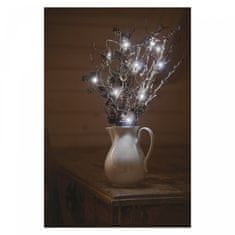 EMOS svjetlosni lanac Nano, 20 LED, jež 1,9 m, hladna bijela, timer